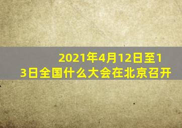 2021年4月12日至13日全国什么大会在北京召开