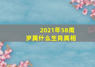 2021年58周岁属什么生肖属相