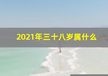 2021年三十八岁属什么