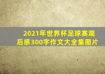 2021年世界杯足球赛观后感300字作文大全集图片