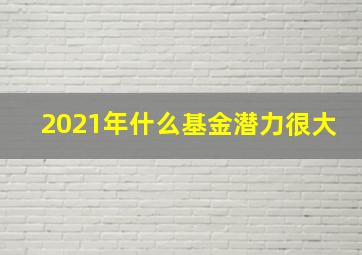 2021年什么基金潜力很大