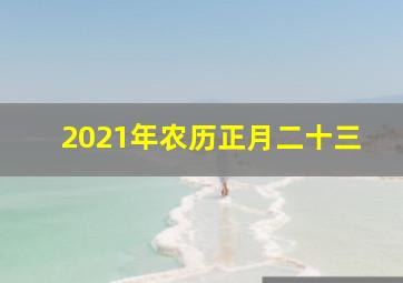 2021年农历正月二十三