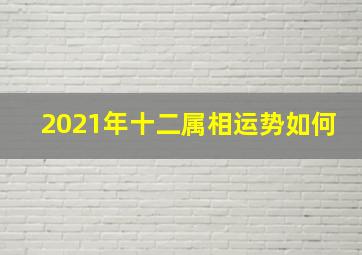 2021年十二属相运势如何