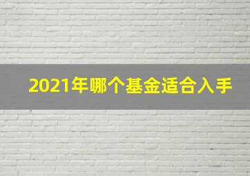 2021年哪个基金适合入手