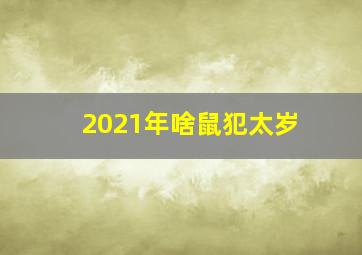 2021年啥鼠犯太岁