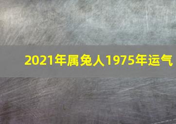 2021年属兔人1975年运气