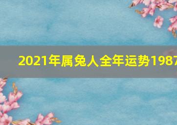 2021年属兔人全年运势1987