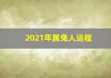 2021年属兔人运程