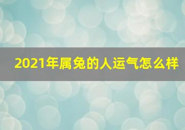 2021年属兔的人运气怎么样