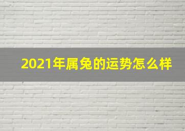 2021年属兔的运势怎么样