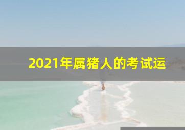 2021年属猪人的考试运