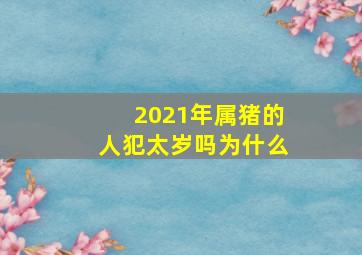 2021年属猪的人犯太岁吗为什么