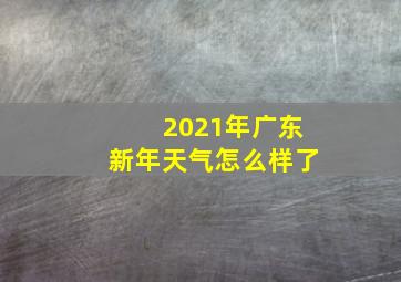 2021年广东新年天气怎么样了