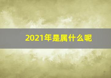 2021年是属什么呢