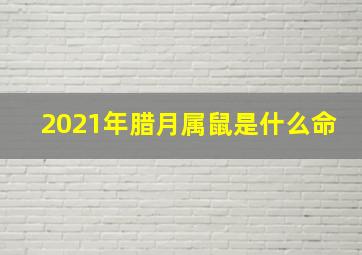 2021年腊月属鼠是什么命