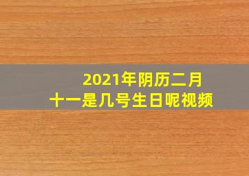 2021年阴历二月十一是几号生日呢视频