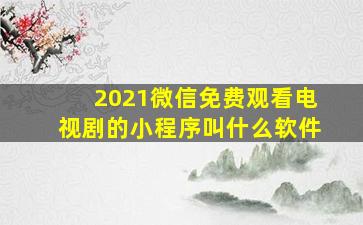 2021微信免费观看电视剧的小程序叫什么软件