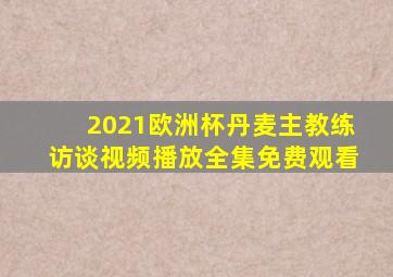 2021欧洲杯丹麦主教练访谈视频播放全集免费观看