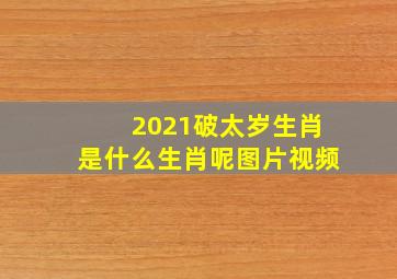 2021破太岁生肖是什么生肖呢图片视频