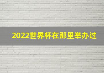 2022世界杯在那里举办过