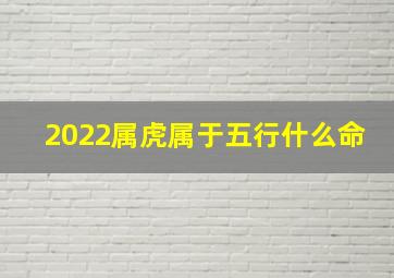 2022属虎属于五行什么命