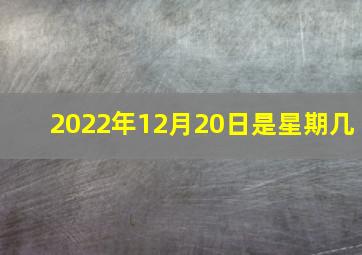 2022年12月20日是星期几