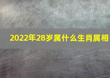 2022年28岁属什么生肖属相