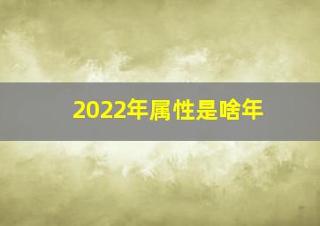 2022年属性是啥年