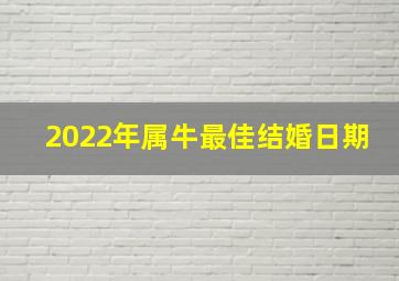 2022年属牛最佳结婚日期