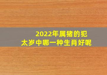 2022年属猪的犯太岁中哪一种生肖好呢