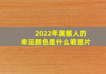 2022年属猴人的幸运颜色是什么呢图片