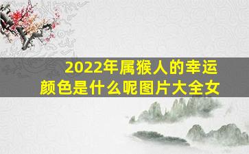 2022年属猴人的幸运颜色是什么呢图片大全女