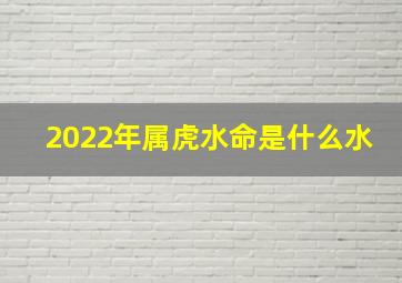 2022年属虎水命是什么水