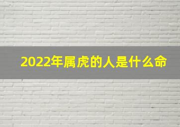 2022年属虎的人是什么命