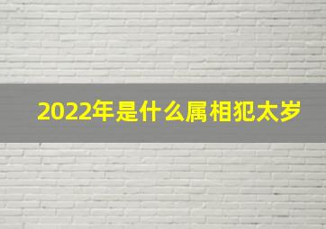 2022年是什么属相犯太岁