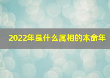 2022年是什么属相的本命年