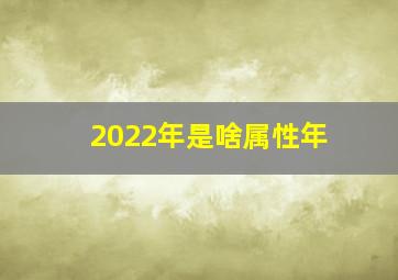 2022年是啥属性年