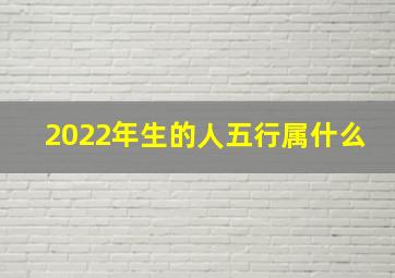 2022年生的人五行属什么