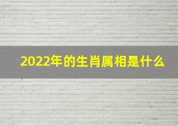 2022年的生肖属相是什么