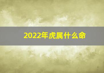 2022年虎属什么命