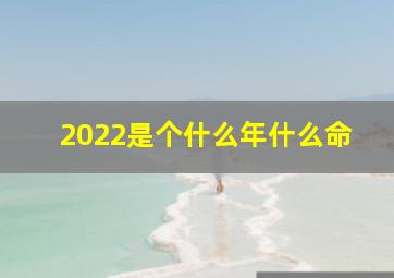 2022是个什么年什么命