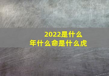 2022是什么年什么命是什么虎