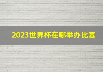 2023世界杯在哪举办比赛