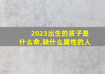 2023出生的孩子是什么命,缺什么属性的人