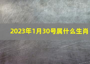 2023年1月30号属什么生肖