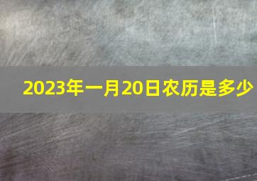 2023年一月20日农历是多少