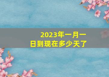 2023年一月一日到现在多少天了