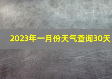 2023年一月份天气查询30天