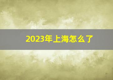 2023年上海怎么了