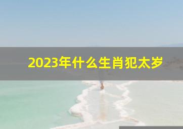 2023年什么生肖犯太岁